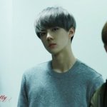 [EXO] 공항 레전드<b>이자</b> 오세훈 레전드(객관)