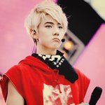 [EXO] 홈마사건