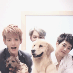 [EXO] 개와 엑소의 케미