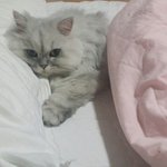 <b>나나</b>~