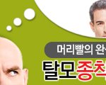 [정보공유] 탈모종착역 - 머리빨의 완성!! 탈모를 영원히 벗어나고...