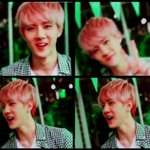 [EXO] 내 최애는 맨날 까여서 슬프다 