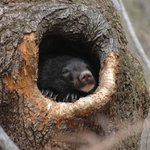 인디 밴드 좋아하는 분들이 좋아할만한 윈터 페스티벌 소식