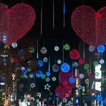 스마트한 데이트 방법 공개!! 스키장과 콘서트를 동시에!