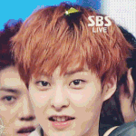 [시우민] 금박지와 민석이의 케미(<b>mc</b>축하!)