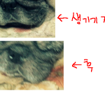이게 말이되는건가요?