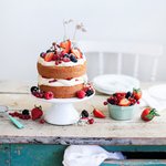 예뻐서 먹기 아까운 <b>케익</b> 모음