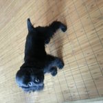 그들과사는이야기