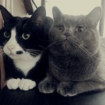 [<b>탄천</b>필근] 탄이 천이 그리고 필근이