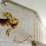 [무개념] 남의집 앞에 똥싸고간  수<b>상한</b> 아저씨(비위,혐오 주의)