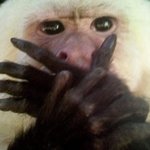 [<b>쿠바</b>] <b>쿠바</b>음식#1 <b>쿠바</b>에서 꼭 먹어야 하는 "랍스타!" 5불짜리...