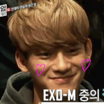 [EXO] 종대선물맞춰서웃는짤!