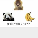 [이것좀봐줘] 동양인과 서양인의 <b>분명</b>한 생각차이