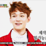 [CHEN] 내 사랑 <b>오버핏</b> 종대ㅠㅠㅠㅠ