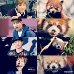 [시우민] 아 진심ㅜ <b>직장</b>수니는 웁니다ㅜ