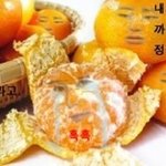 [블락비] 벌들아<b>감기</b>걸렸냐