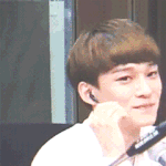 [CHEN] 엑소톡할때는 보고싶은글만봤는데