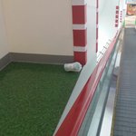 [무개념주의] 똥 기저귀  아무데나 버리는 애기 엄마들!!!!!...