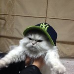a-<b>yoo</b> !! 사랑이