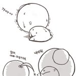 다리를 찢어보았습니다.