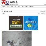 [엽기] 미친 싸이코패스 ㄷㄷ
