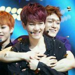 [백현] 꽃님이들아 짤<b>파티</b>하자~*^^* 