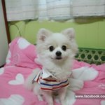 [한글이] 한글이님 택배왔어요~