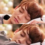 [비상대피소] 잠자는<b>숲속</b>의종대 ㅎㅎ