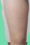제 <b>다리</b> 이<b>정도</b>면 어떤가요?