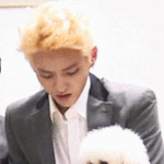 [비상대피소] <b>본부</b>장님 강아지 키우는줄 몰랐어요.