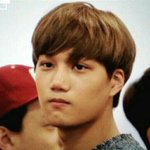 [카이] 카이=재규어 그렇다면 종구를 닮은 동물은?