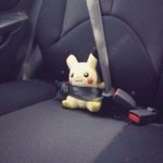 [비상대피소] 이것은 누구의 귀여운<b>행동</b>일까요.