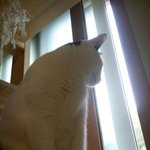 [용배꾸르밍] <b>대두</b>김용배의 그남자가 자는법