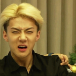 [비상대피소] 진짜야마돈다