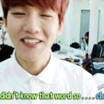 [백현] 사심<b>캠</b> 그게머에<b>여</b>? 멜빵? 'ㅅ'