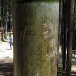 [개빡침] 요즘사람들 다이래요?