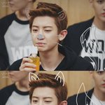 [비상대피소] 내가이거찬열톡에올렸는데반응이없어서...