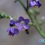 [비상대피소] <b>예언</b>그만
