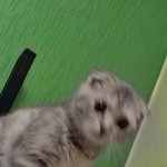 [땡글이] *땡글땡글땡글땡글땡글사랑해*