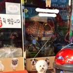 <b>사달</b>란건 아니구요..그냥 먹고싶다구요..