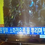 [사진ㅇ] 촏잉 얼짱 도쟈언