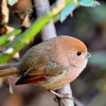 [시우민] 시우민 닮은 <b>동물</b> 종결잨ㅋㅋㅋㅋㅋㅋㅋㅋㅋㅋㅋㅋㅋㅋㅋㅋ...