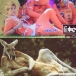 [비상대피소] 아이돌 콘서트는 다 스탠딩 필이야?