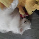 [시우민] 민석이 사진은 아니지만