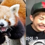 [시우민] 이번앨범활동 언제까지야?