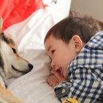 (쵸파와 찡)계속해서 톡기념 사진 대방출 ~