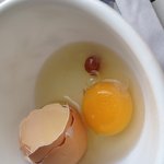 <b>달걀</b>에서 이상한게 나왔어요 ㅠ.,ㅠ