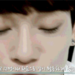 [비상대피소] 다들이거봤징??? 