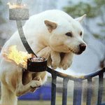 [비상대피소] 아휴 어그로 <b>냄새</b>나네 킁킁