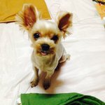 [목화아가씨] 우리 목화를 소개합니다!!
